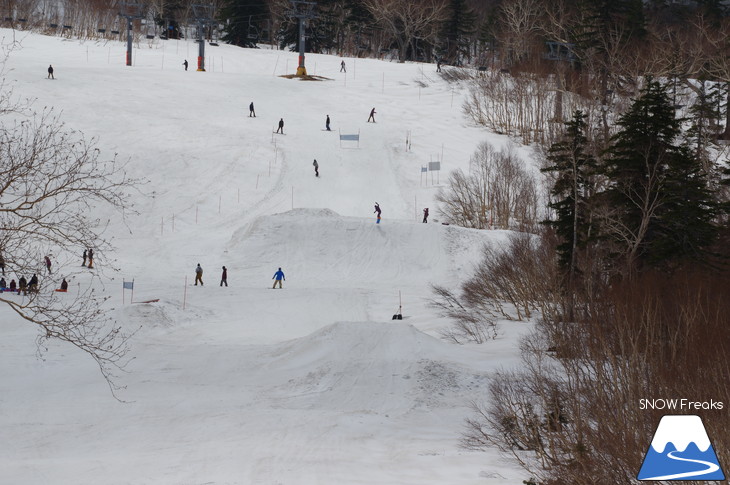 札幌国際スキー場 積雪豊富☆明日の営業最終日も、ほぼ全面滑走可能です!!